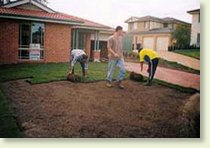 laying_the_new_turf_lawn